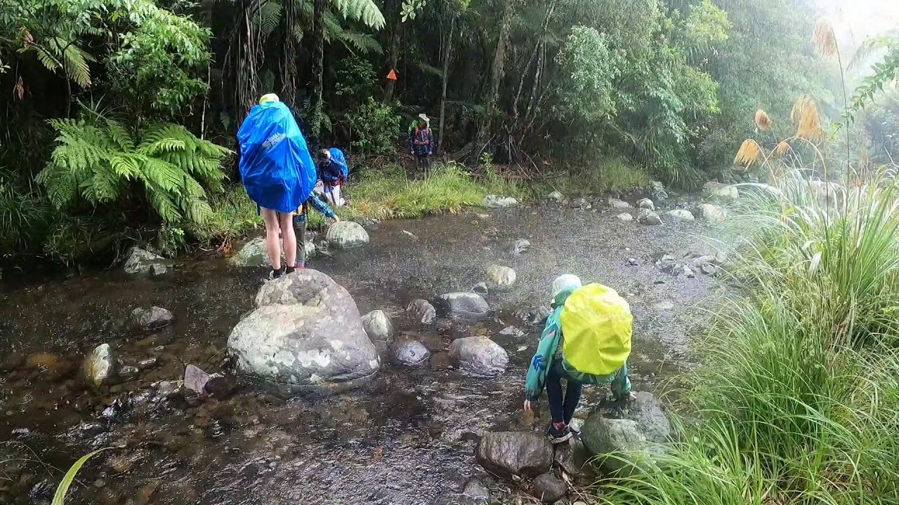 Waitawheta Hut to Waitengaue Stream, Kaimai Mamaku Conservation Park, New Zealand