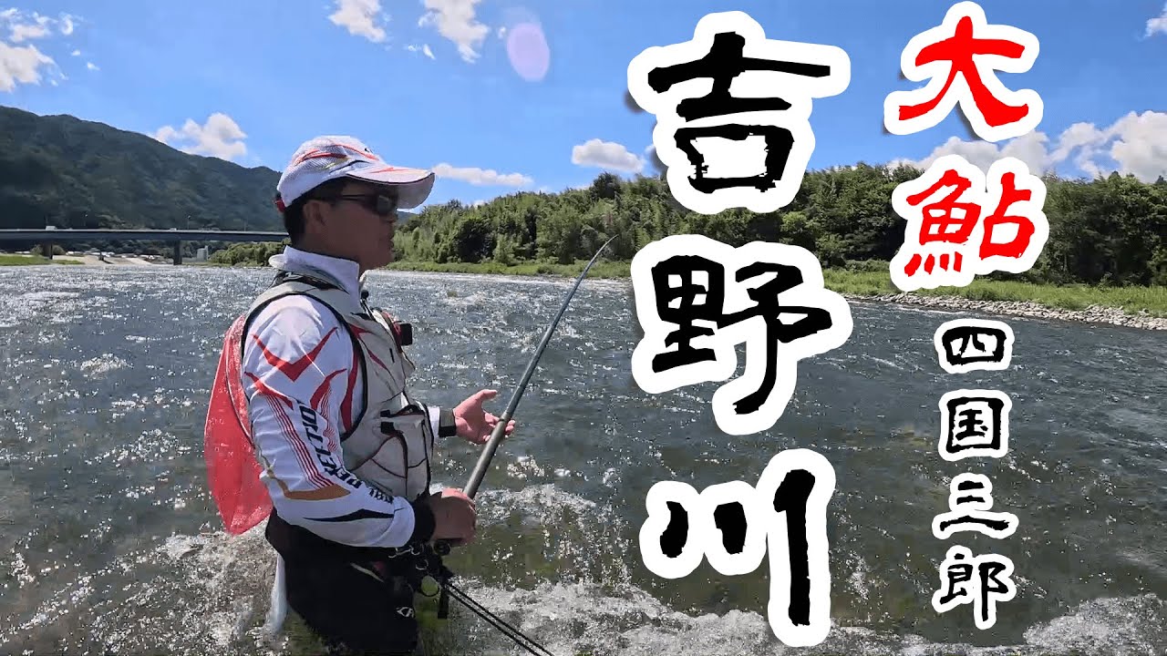 四国三郎！友釣り吉野川で大鮎に挑む！！～緊急企画～