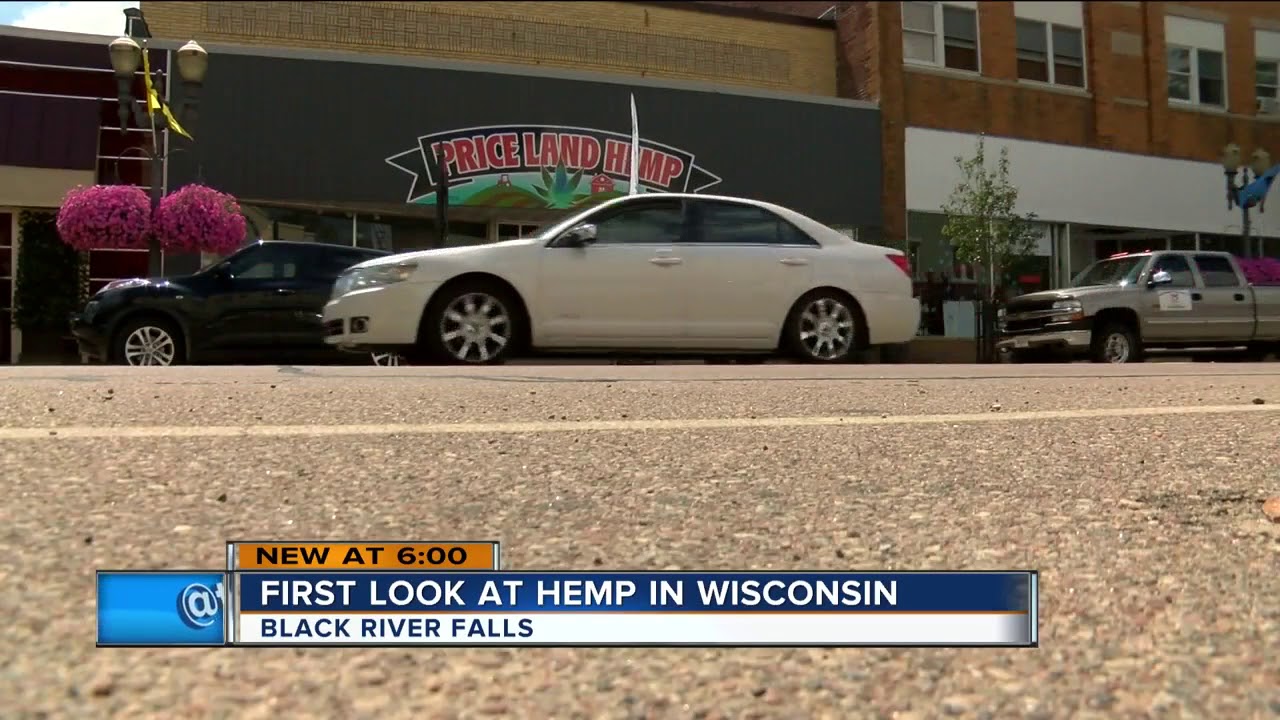 Local hemp farmers hope to cash in on controversial crop