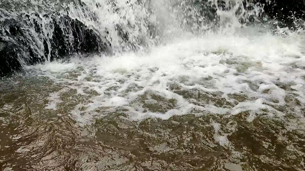 Nilgiris Jungle Stay Private Waterfalls