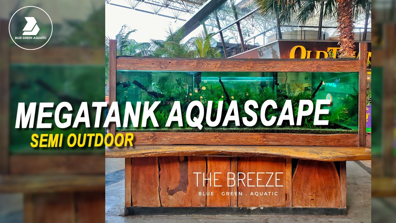 #70 - MEGATANK AQUASCAPE DI THE BREEZE | BSD CITY