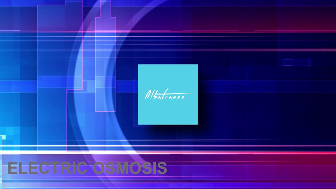 Albatrauss - Everything Is Meant To Be