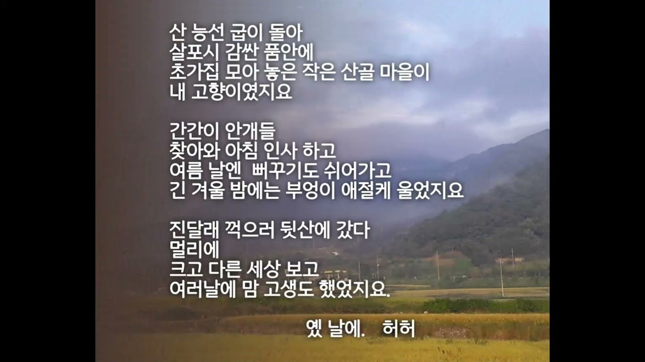 2026년 2월 19일