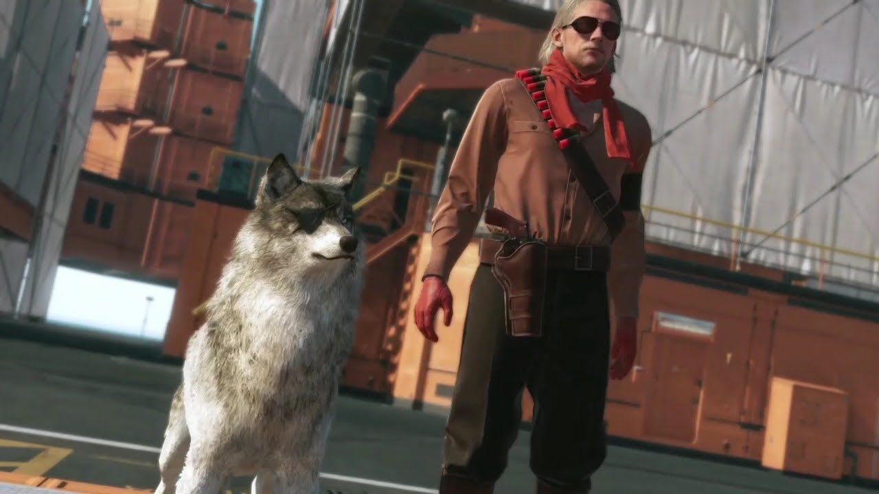 Ocelot raising hounds