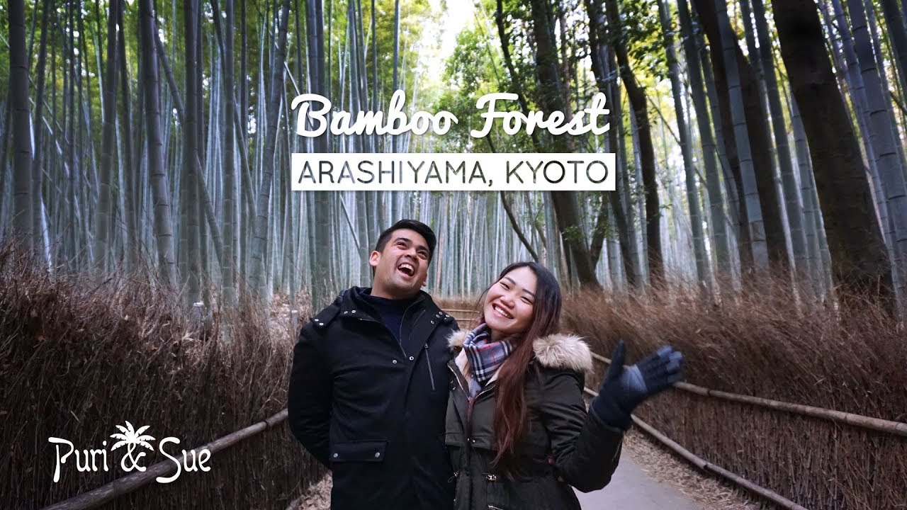 Winter in KYOTO'S BAMBOO FOREST | Arashiyama, Kyoto