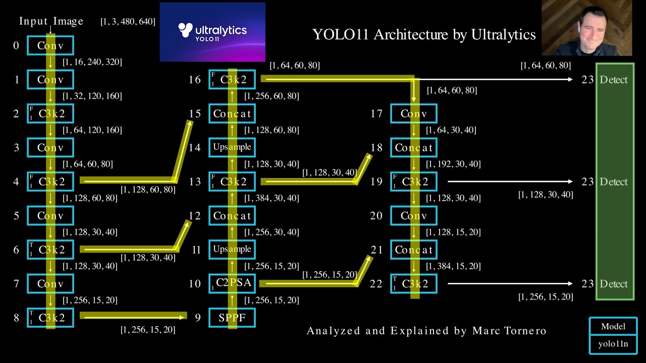 14. Feature-Extraction Architecture Summary. YOLO11 (YOLOv11) Series