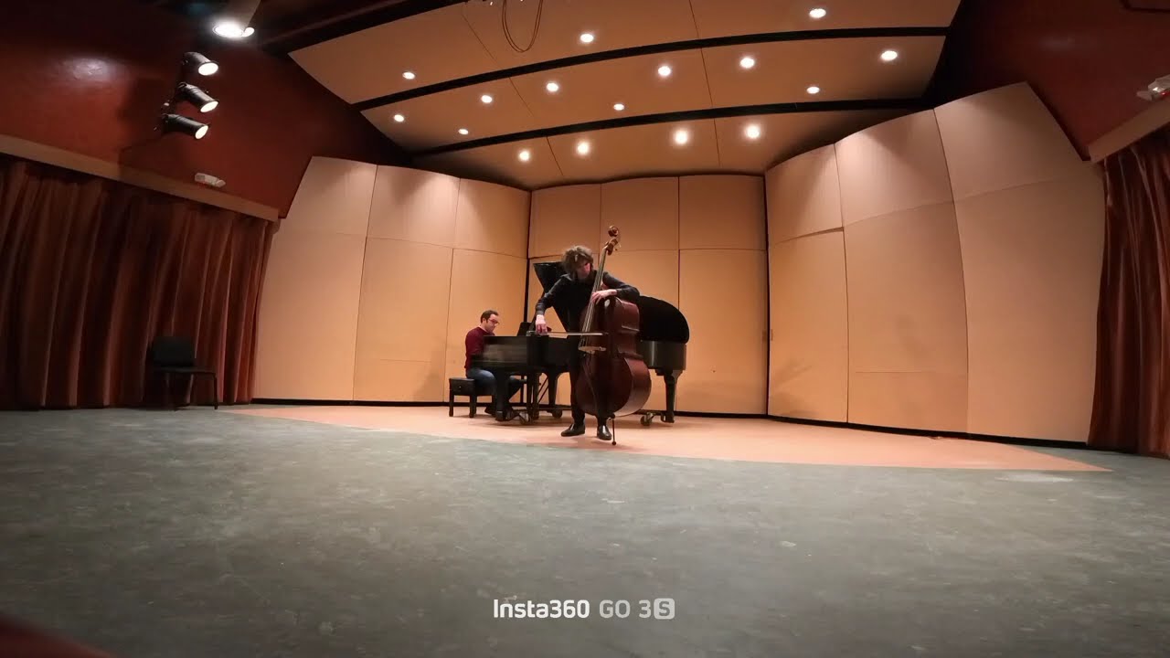 Nino Rota - Divertimento Concertante