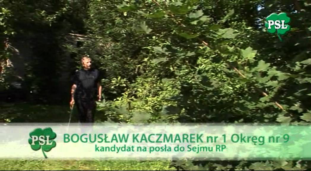 Bogusław Kaczmark kandydat na posła na Sejm RP okręg nr 9 poz. 1.wmv