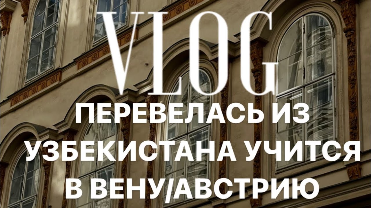 Один семестр в Вене. Из Узбекистана в Вену. Webster University