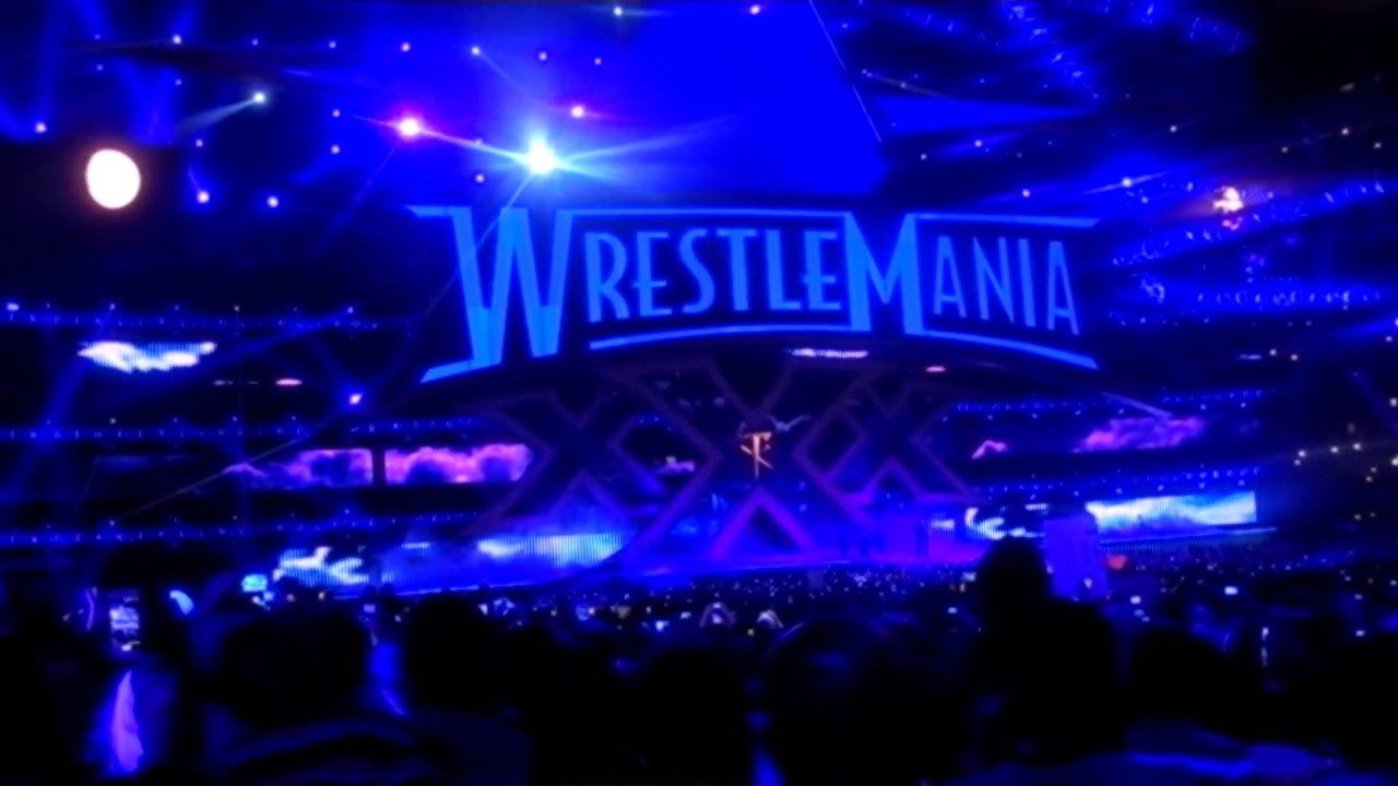 Brock Lesnar & The Undertaker @ WWE WrestleMania 30