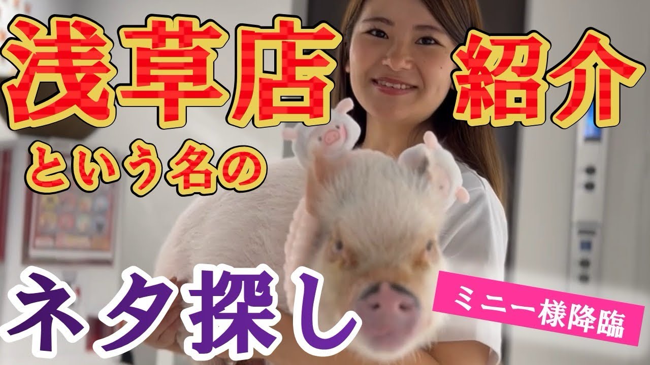 自由すぎるマイクロブタカフェ紹介