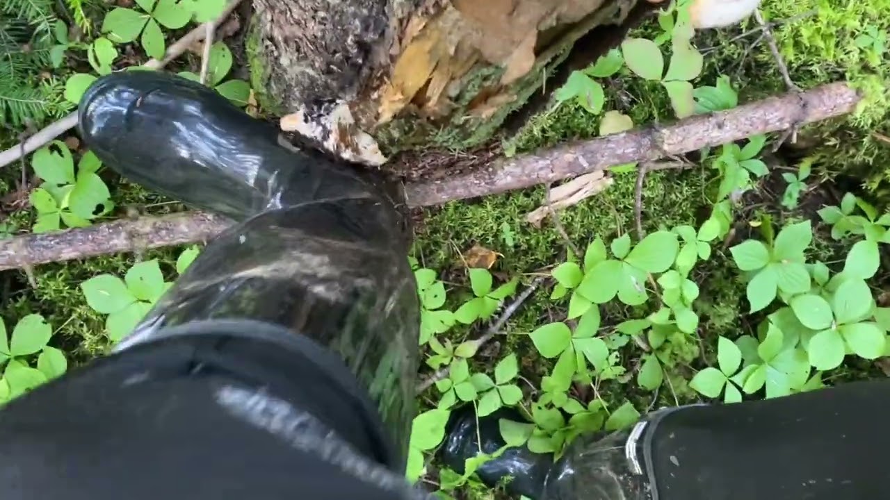 Crushing small mushrooms with my Exotic Identity rubber boots 🍄