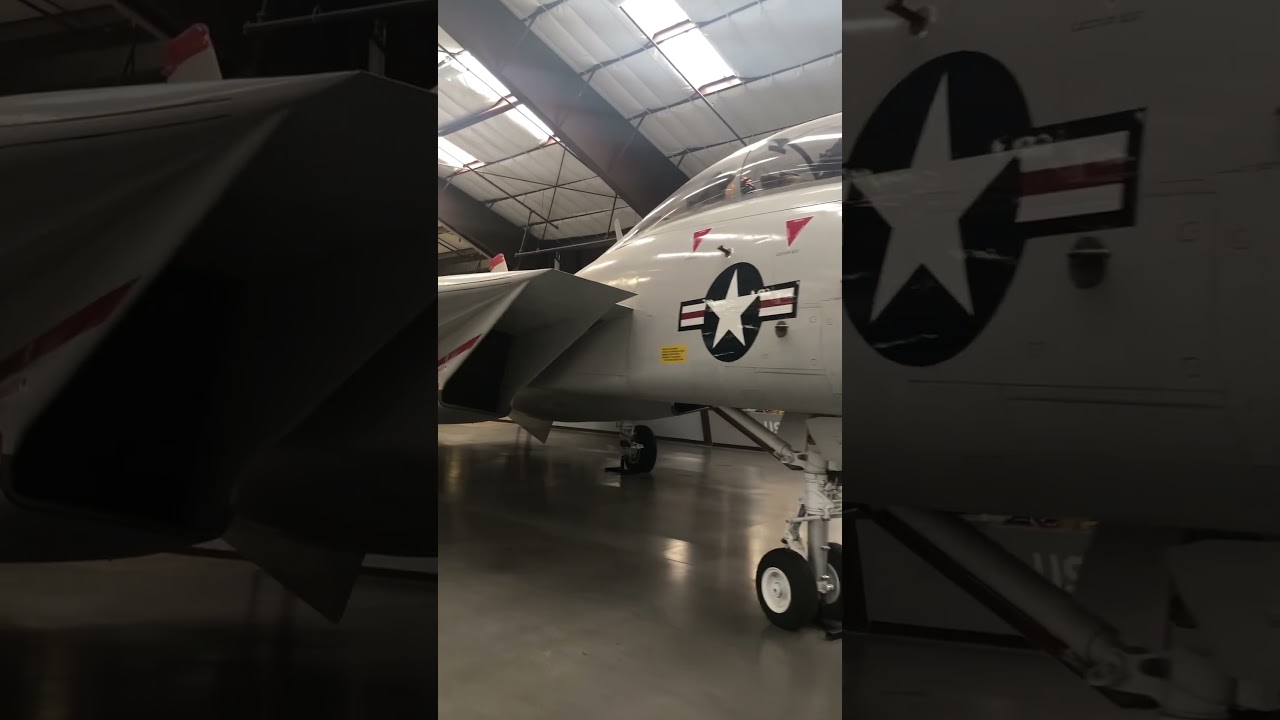 F-14 Tomcat Fighter Jet from Top Gun.  Tom Cruise would be proud.