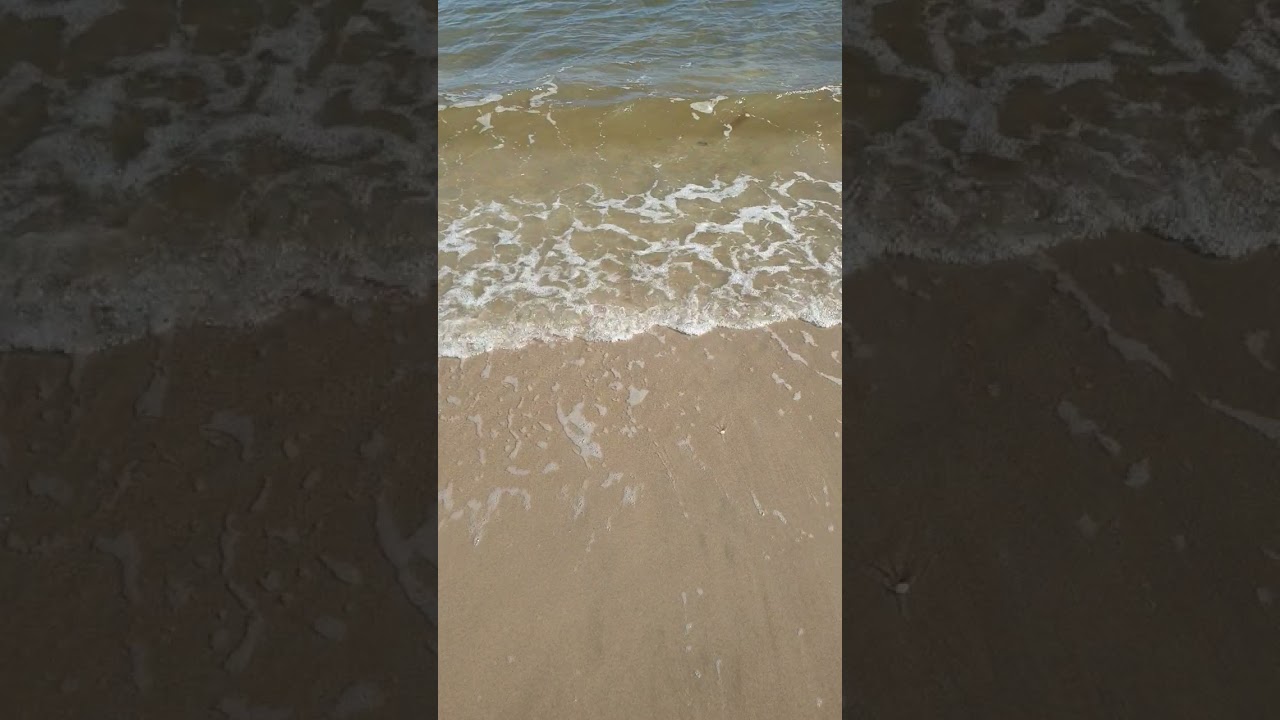 #australiabeaches is perfect in #tasmania #shorts is #discovertasmania