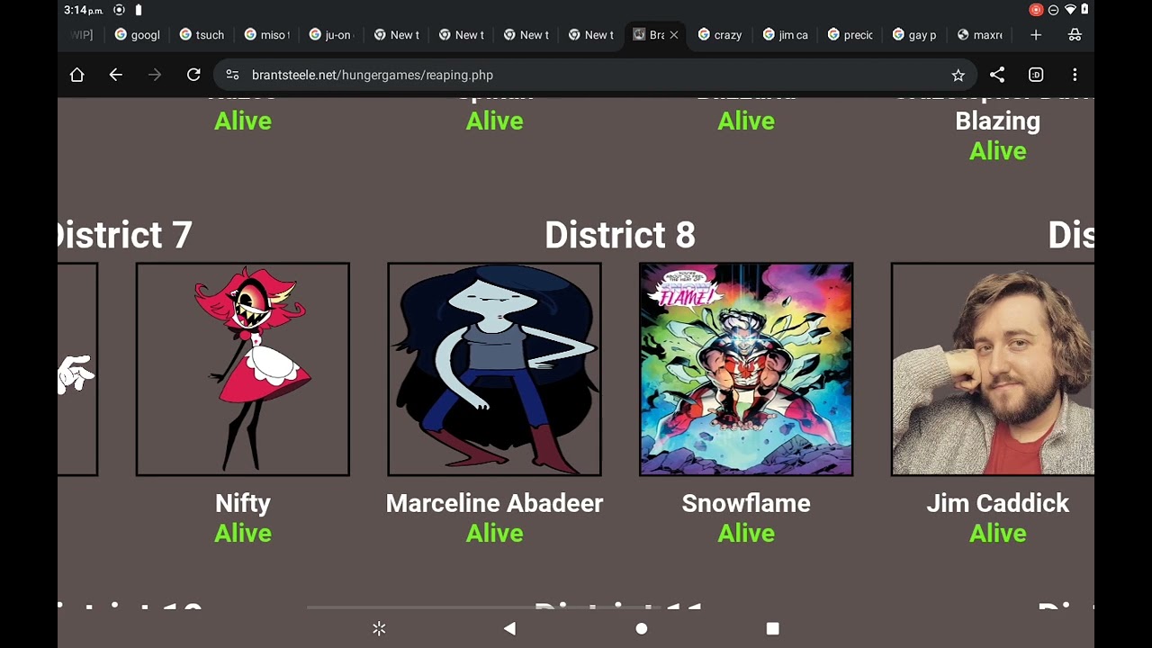 The hunger Gay simulator (part zero. The characters)