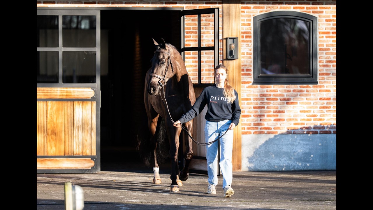 For Fun - Presentation & Flat