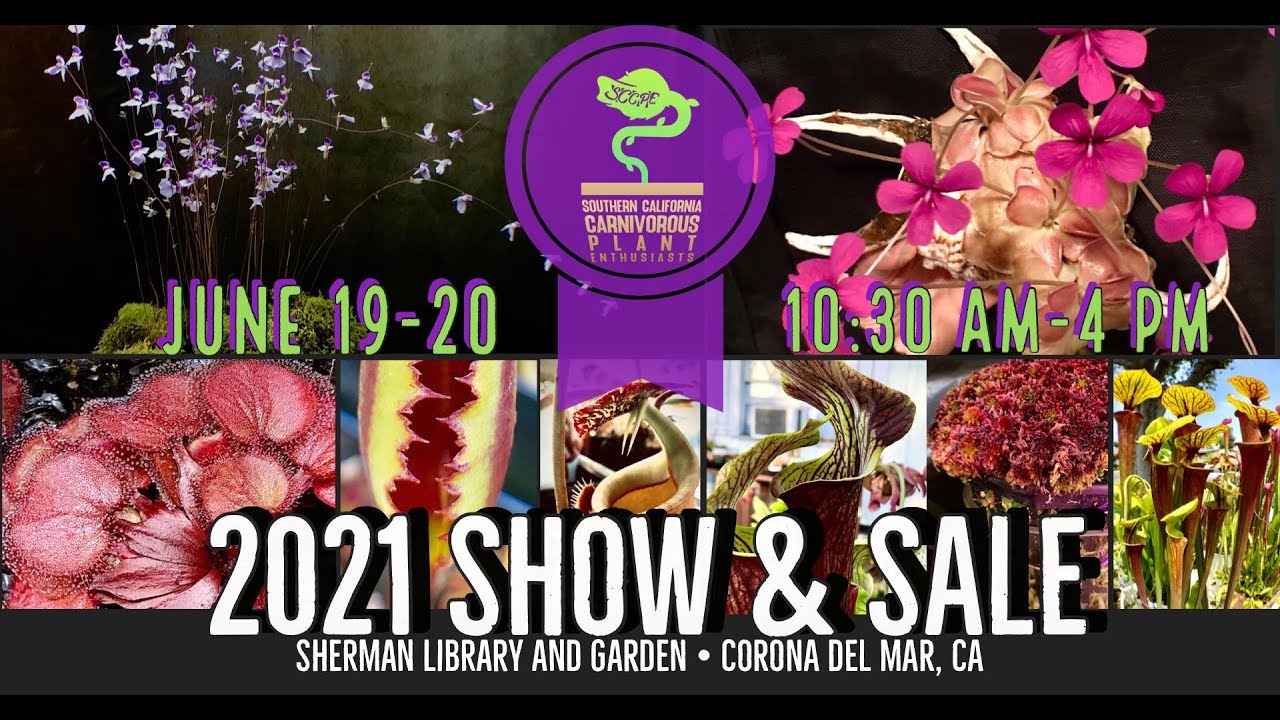 2021 SCCPE Show and Sale - Day 2