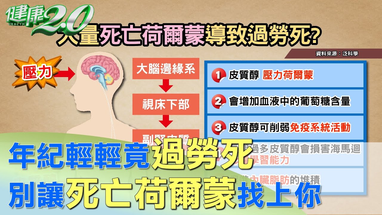 年紀輕輕竟過勞死 別讓死亡荷爾蒙找上你 健康2.0