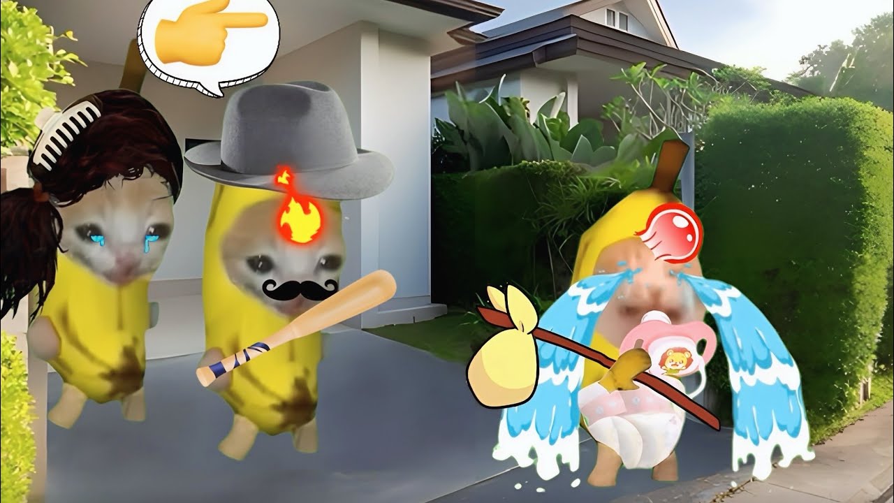 Banana cat crying not happy compilation 193 #babybananacat #happycat #catmemes #bananacat