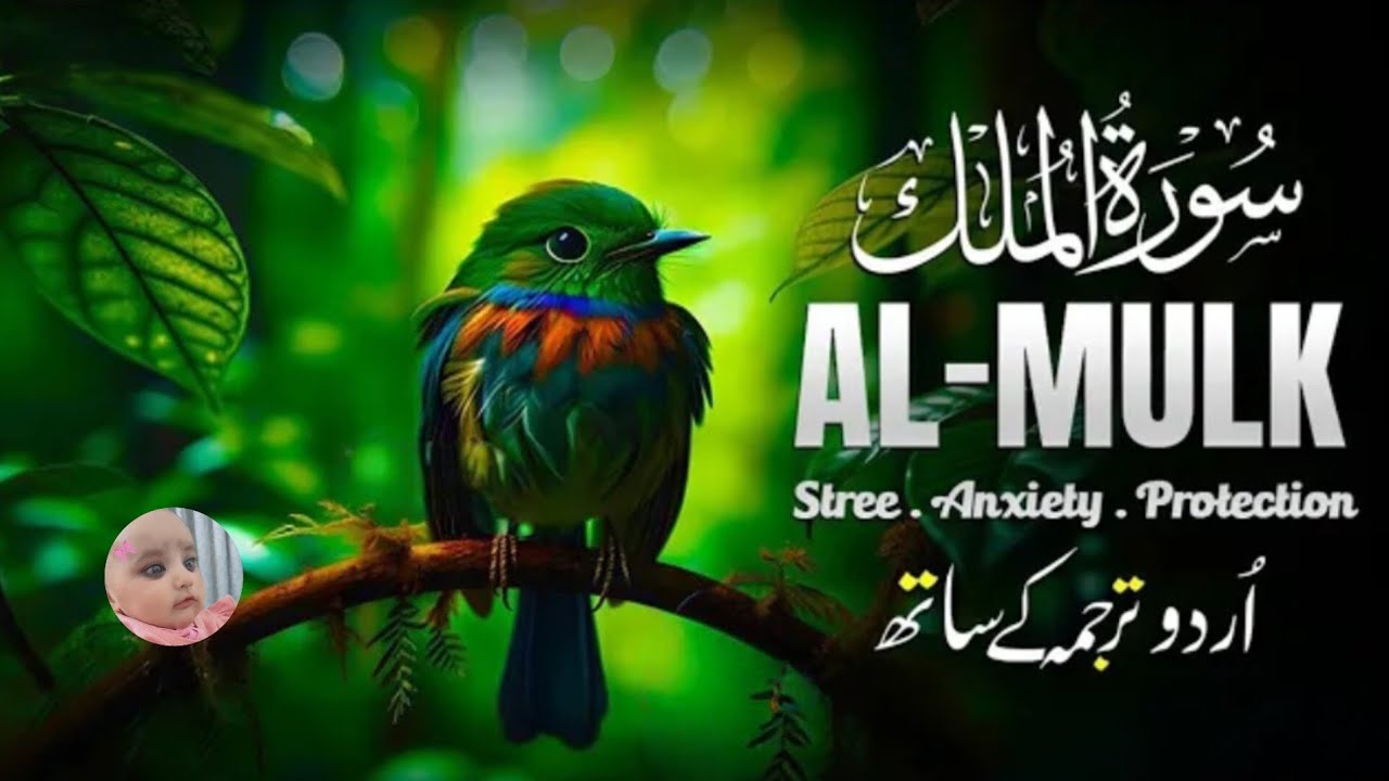 Surah Mulk (Tarjuma ke Sath) | Episode 072 | Rahat Bhari Tilawat 🌙 | 