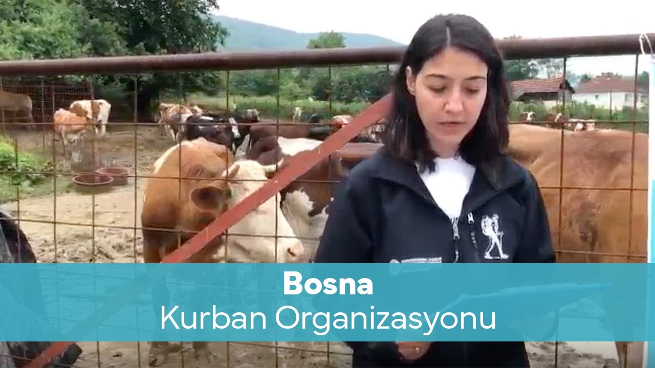 Bosna Kurban Projesi | 2024