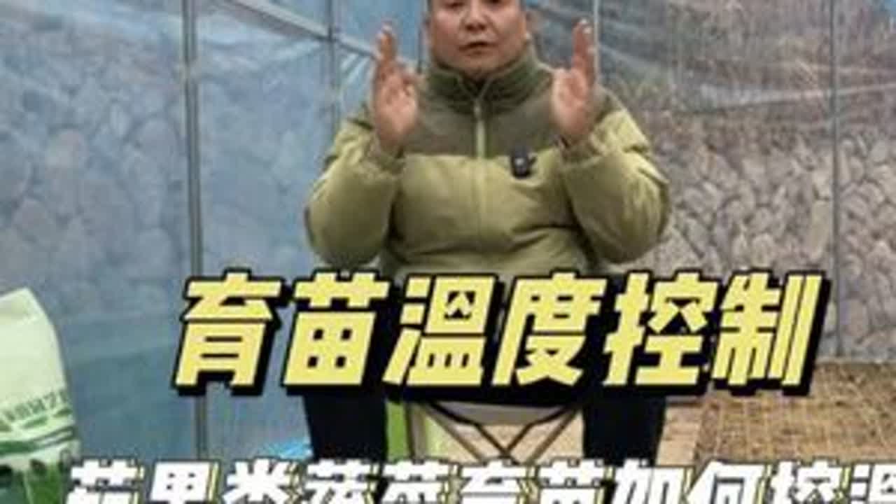 茄果类蔬菜在育苗过程中如何做好温度控制？ #育苗 #育苗温度 #育苗技术 #家庭育苗 #蔬菜育苗