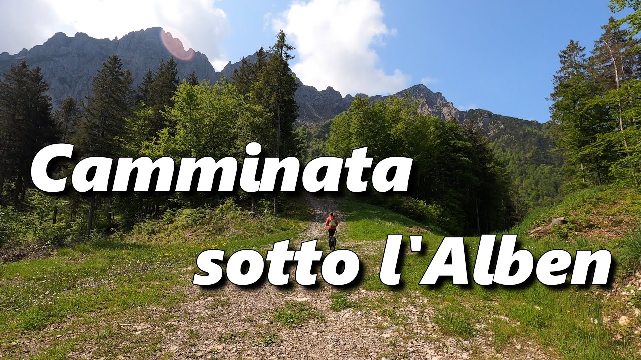 Camminata sotto l'Alben