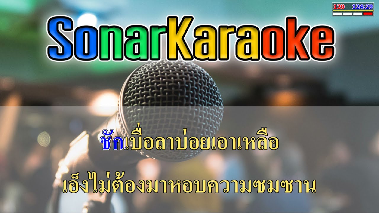 ชีวิตรุ่งโรจน์ -  รุ่งโรจน์ เพชรธงชัย (คาราโอเกะ)【SonarKaraoke】