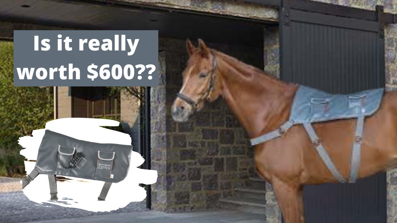Equilibrium Horse Massage Pad Review