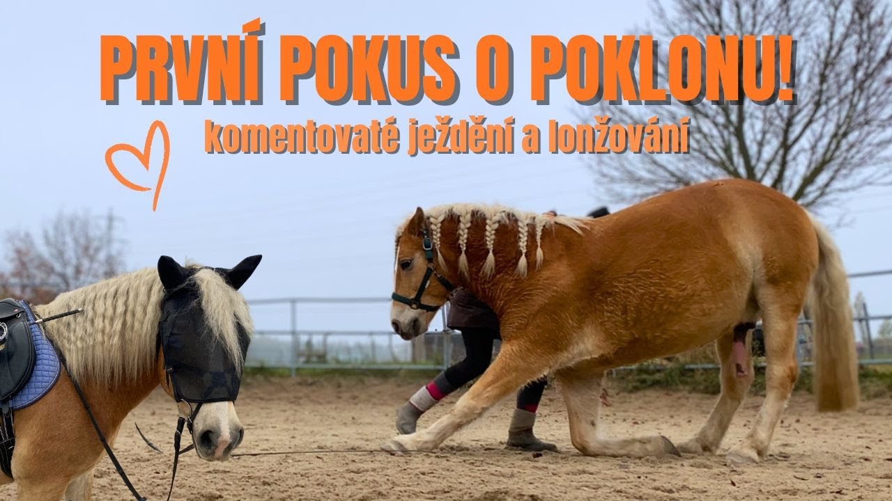 Mini haul, první poklona a komentované ježdění i lonžování! | VLOG