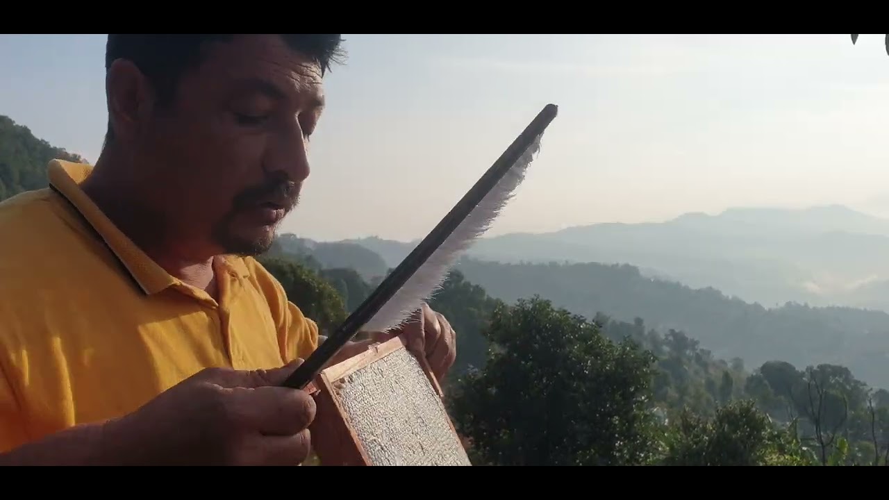 जागरुक 🐝🐝मौरीहरुलाइ बच्चा हुर्काउने फ्रेम मह कक्षमा दिदा पनि अति राम्रो काम गरे