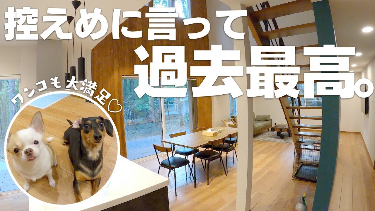 栃木にある犬と泊まれる貸し別荘が控えめに言って神だったよ！