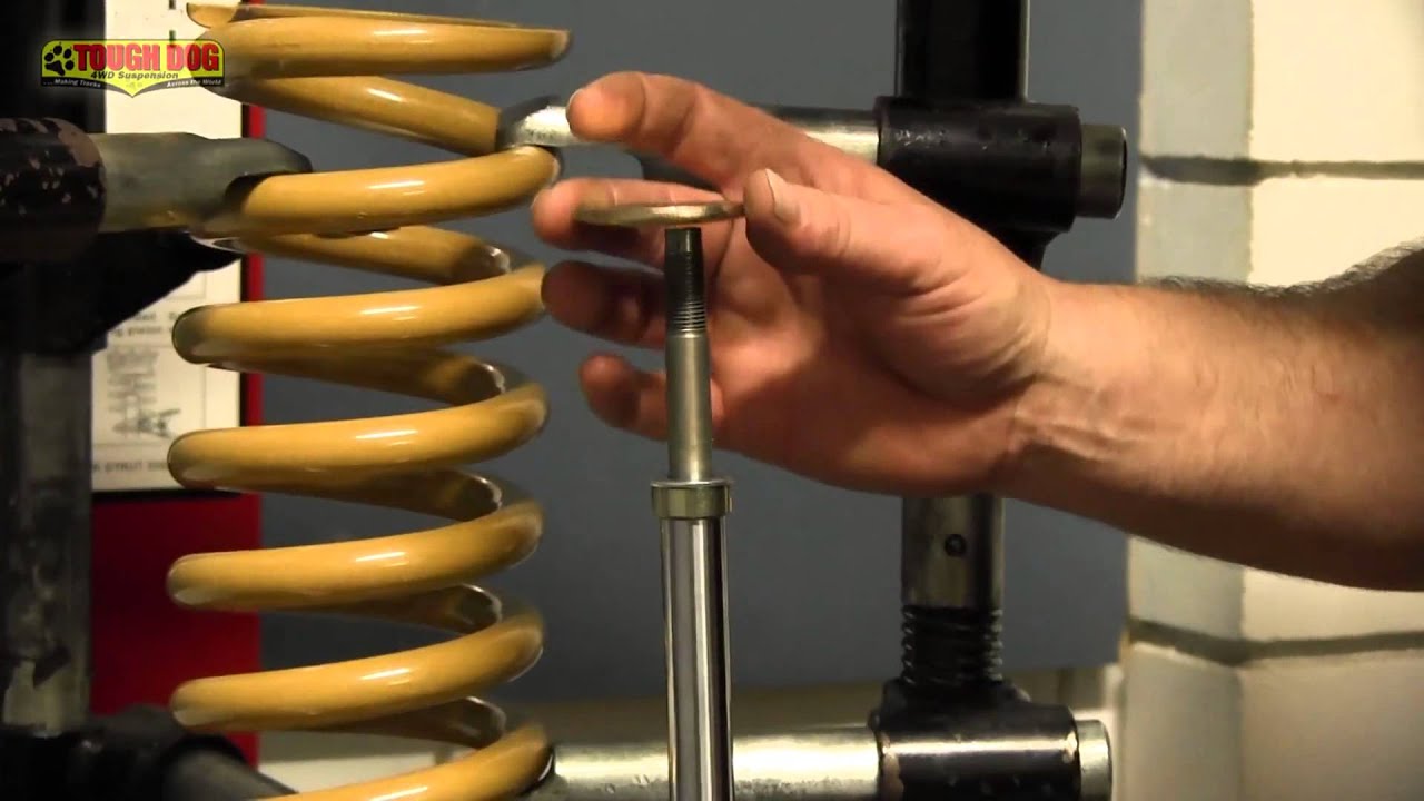 Tough Dog Strut Assembly