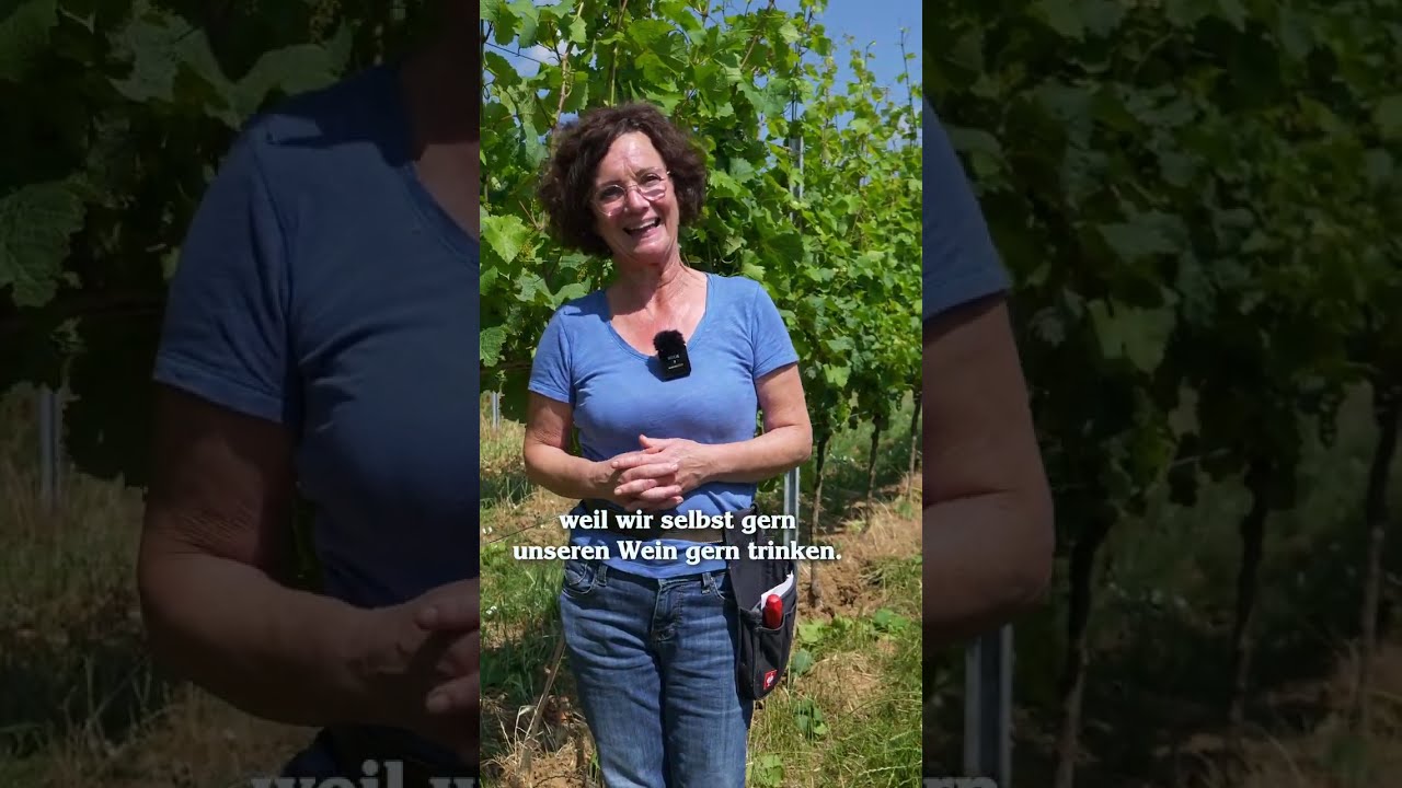 So wurden wir ein Bioweingut! 🍇#weingutullrich  #zumwohldiepfalz #biowein #bioweingut #winzerin