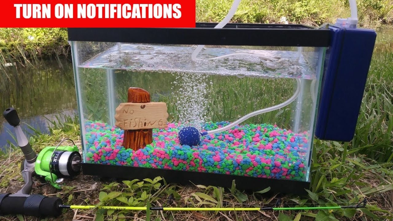 Catching PET Exotic Fish for Aquarium!  Monster Mike Fishing