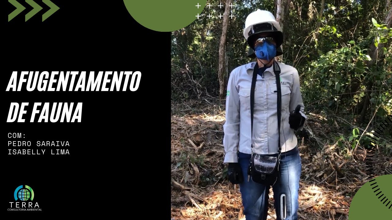 Afugentamento de Fauna