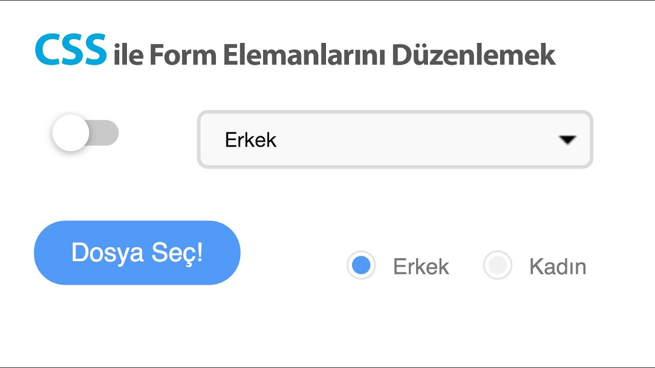 CSS ile Form Elemanlarını Düzenlemek