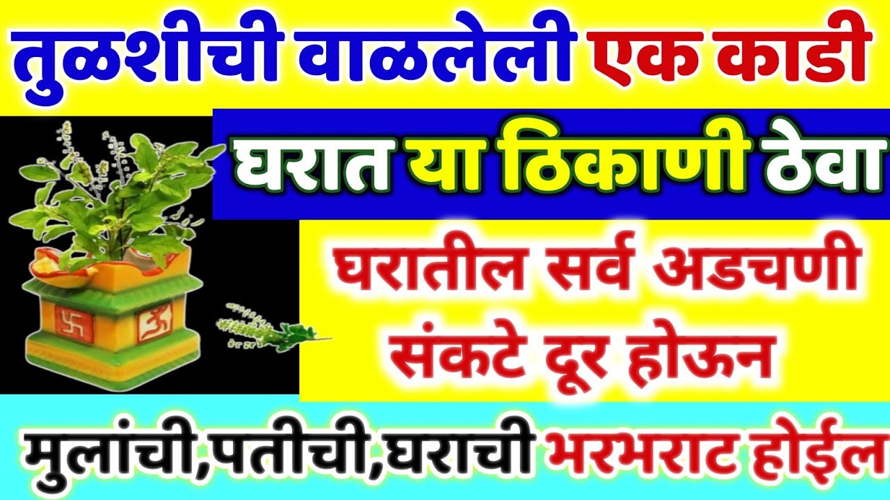 👣#तुळशीची वाळलेली १ काडी इथे ठेवा.आयुष्यात धन संपत्ती कमी पडणार नाही,☝️संकट टळतील. खूप प्रगती होईल.🙏