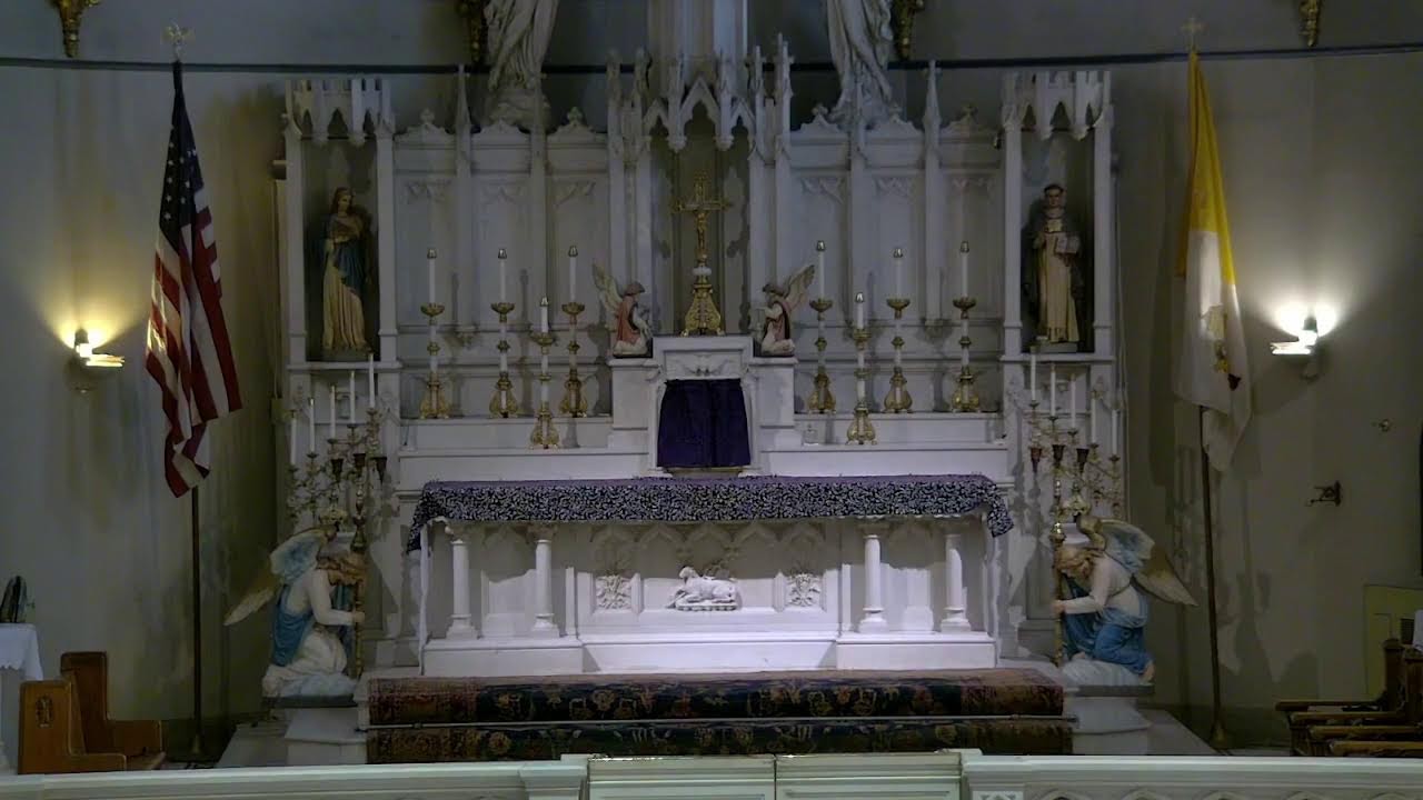 Holy Mass 2/1/26 - Septuagesima Sunday