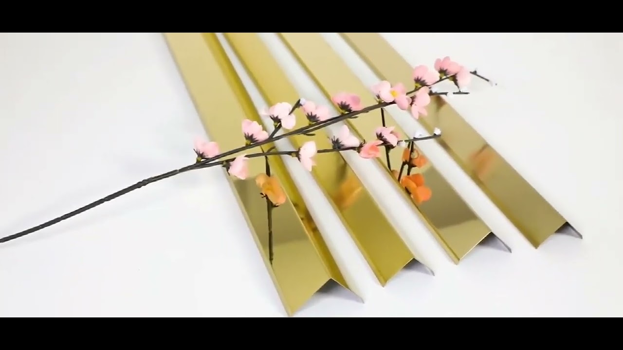 Stainless Steel L Shaped Tile Edge Trim - Tile Trim Factory (Viphonya Metal)