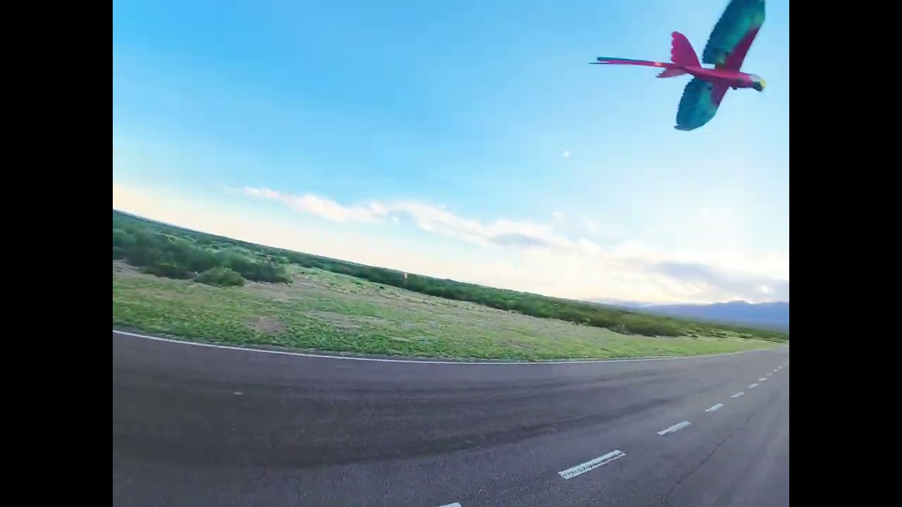 Aeroranch 15/2/26 parte II