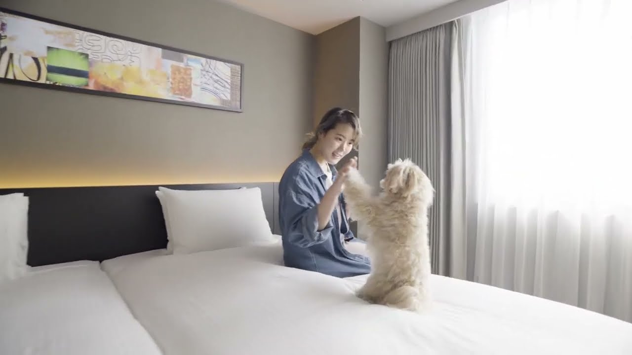 【hotel anddoggy京都二条】「大切な家族」である愛犬が、家の心地よさを感じられるホテル。