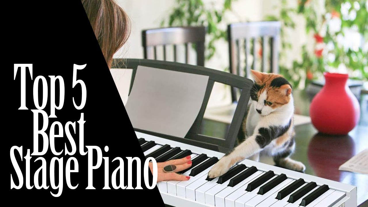 Best Stage Piano In 2025 - 5 Best Stage Pianos Review