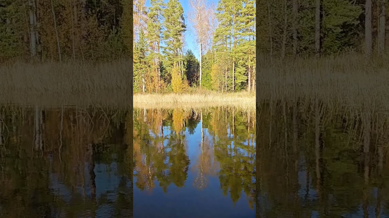Цвета осени и звуки