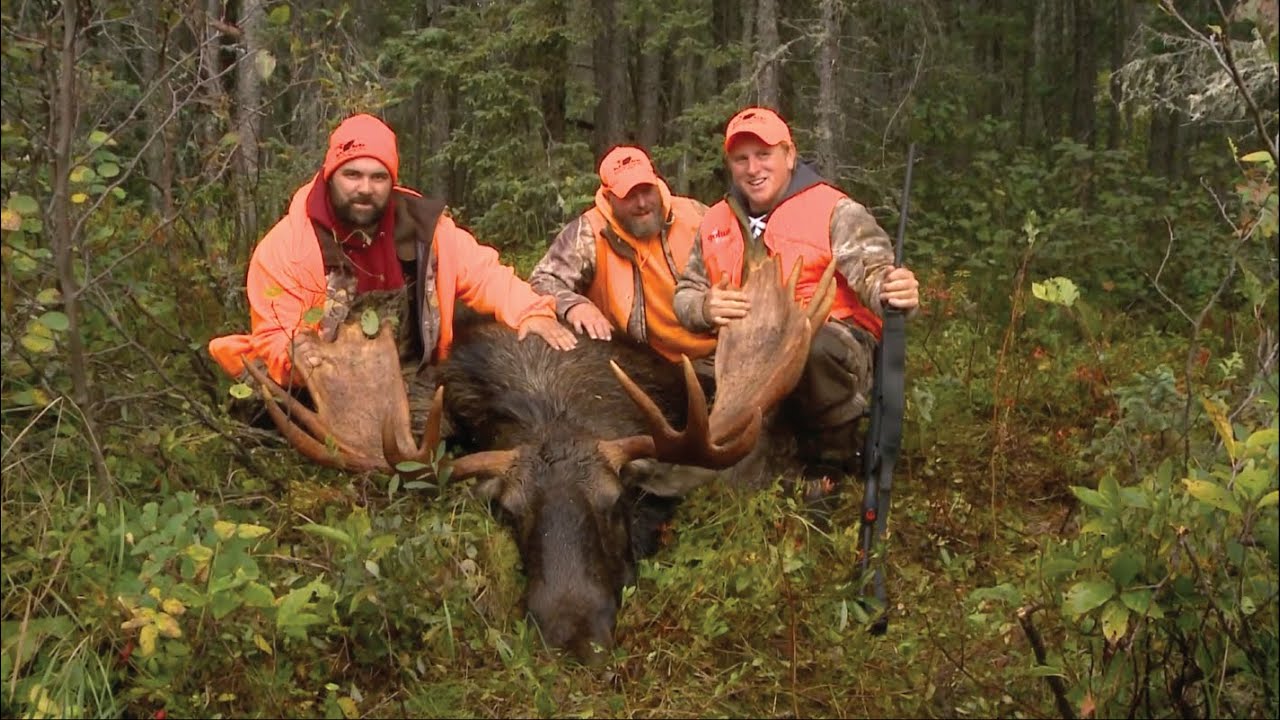 Ontario Big Game Hunting (Tale of 2 Moose Hunts)!