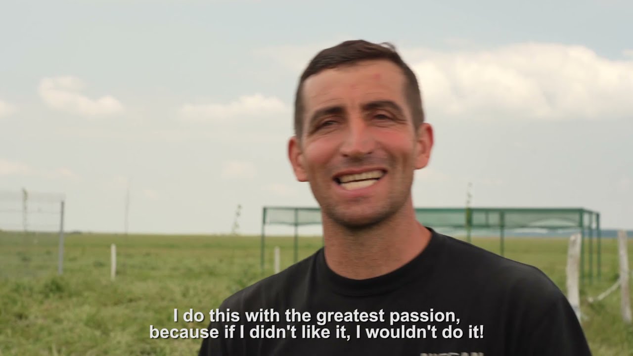 De unde vine laptele din iaurtul Danone?