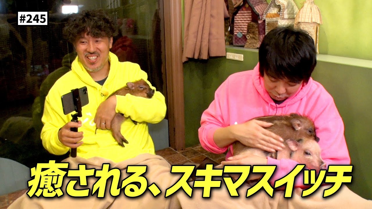 【公式】#245 かわいい動物さんに癒されようツアー in 原宿「スキマスイッチのこのヘンまでやってみよう」