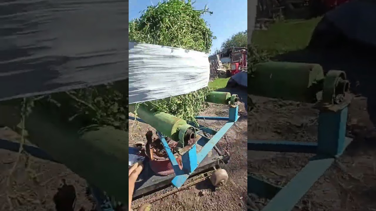 4 укос люцерны для сенажа.