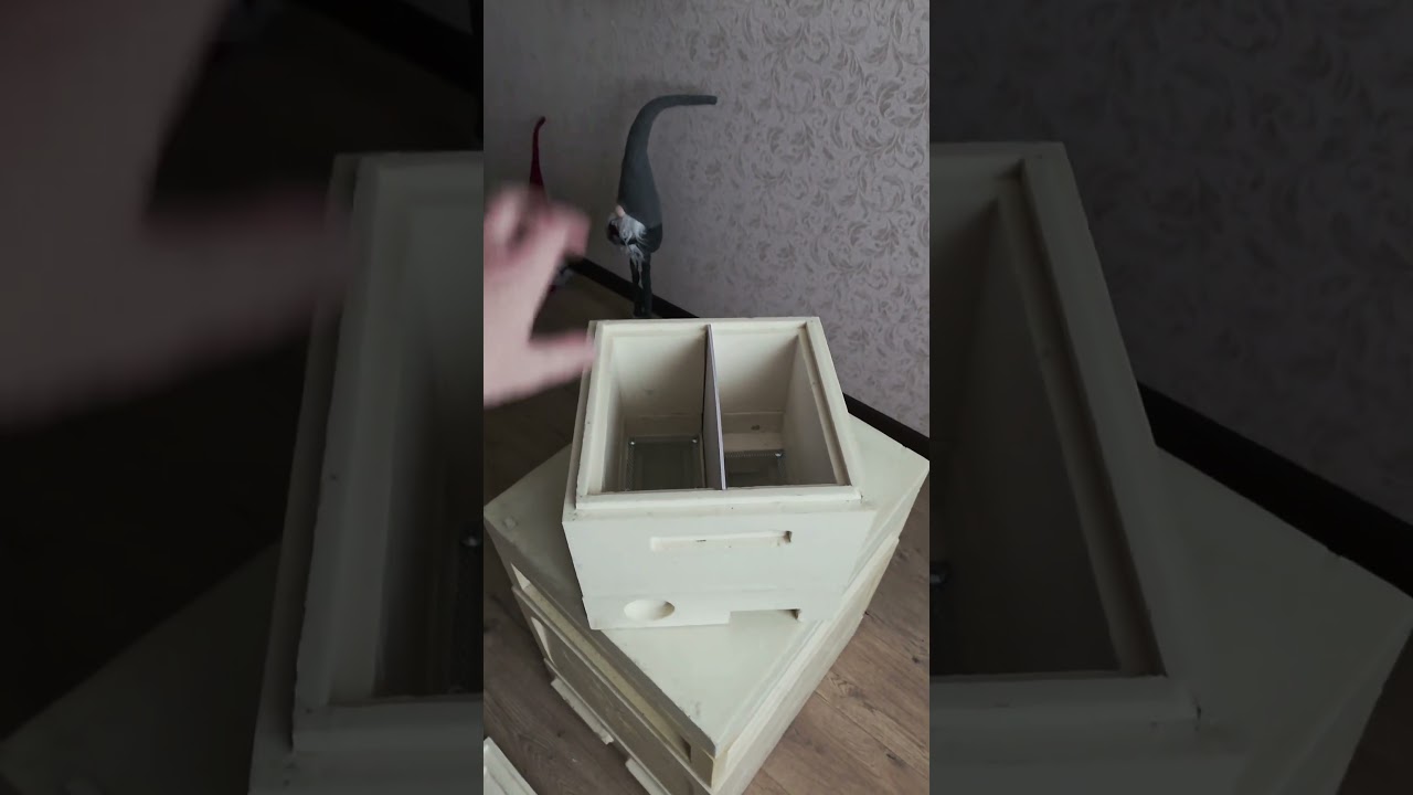 Мініплюс 👉 Vitalii ApisBro 🔥