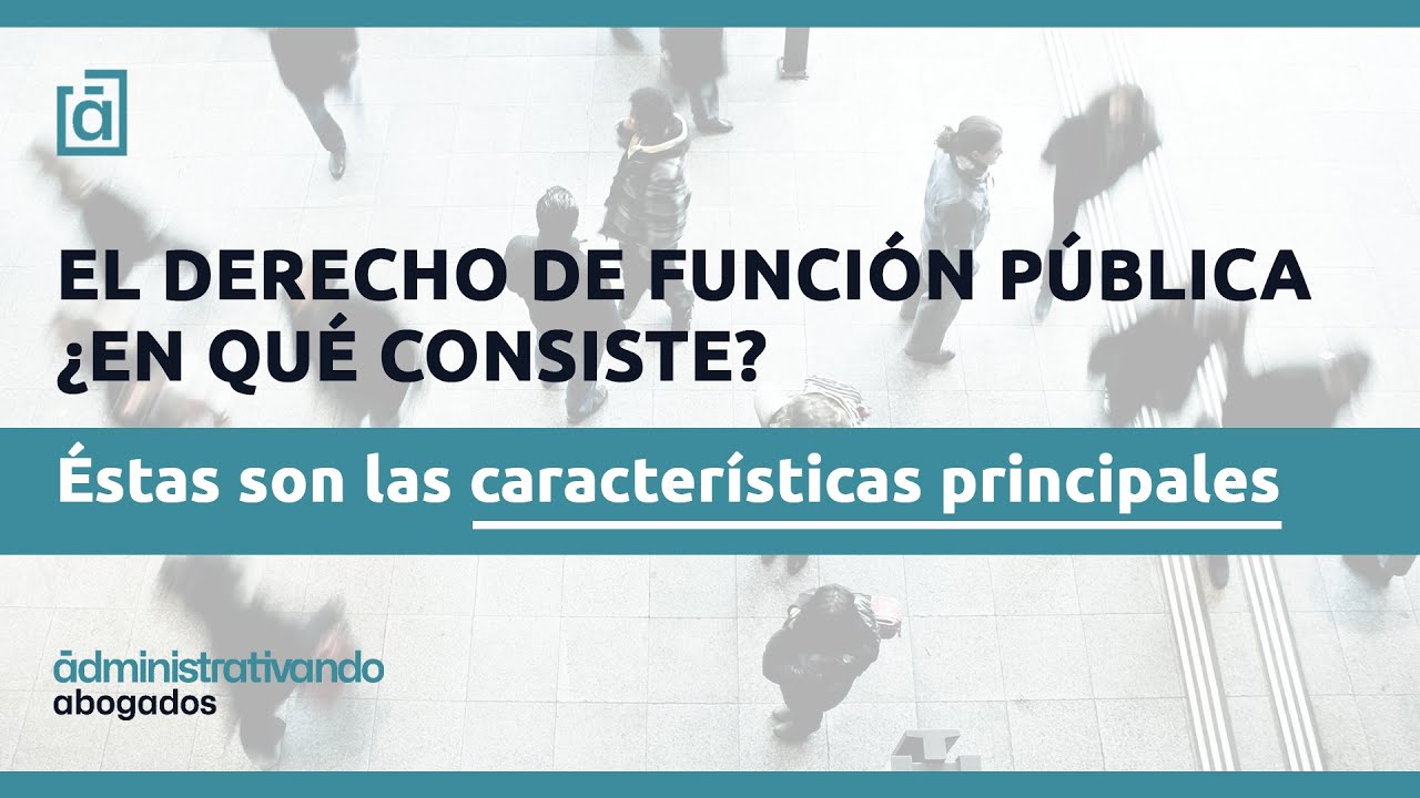 ¿En qué consiste el derecho de función pública?